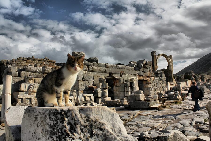 Izmir : Ephesus and Sirince Guided Tour - The House of Virgin Mary on Bülbül Mountain