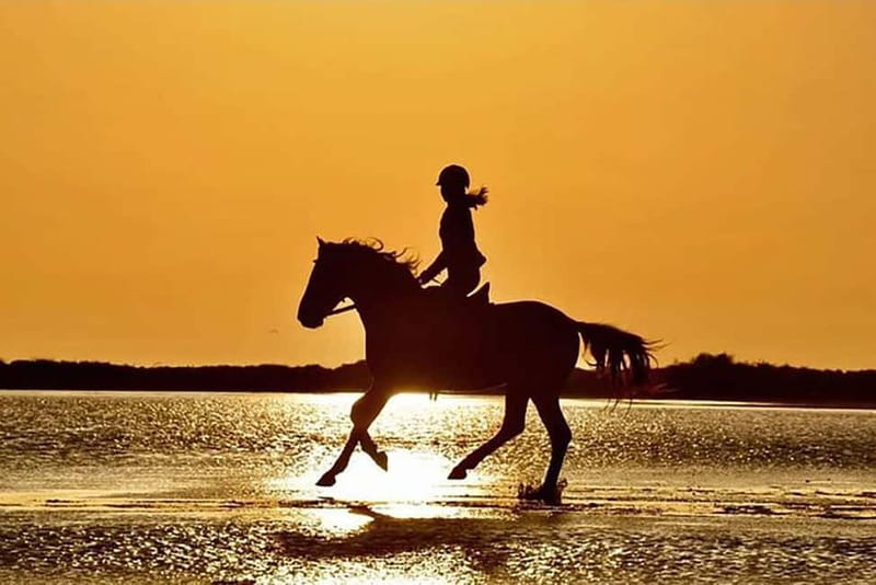 Manavgat Side: Horse Riding on the Beach and in the Forest - Quick take: what makes this ride worth considering