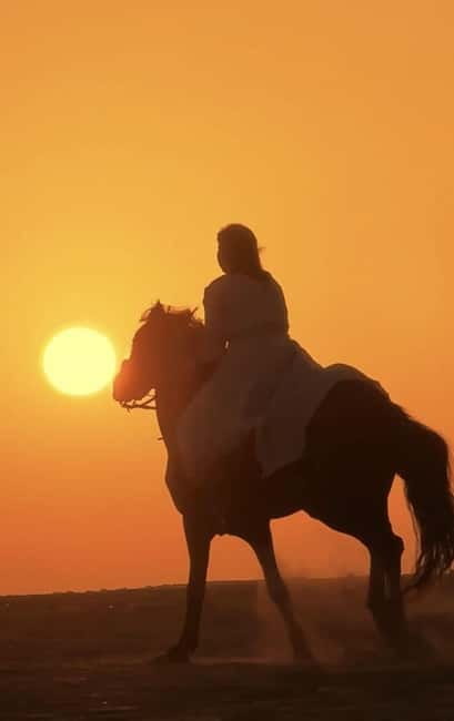 Manavgat Side: Horse Riding on the Beach and in the Forest - Who should book this Side horse ride?