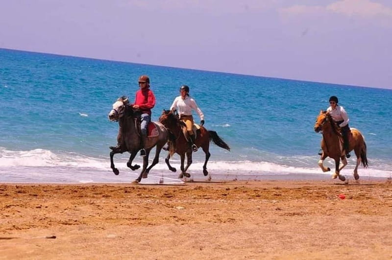 Manavgat Side: Horse Riding on the Beach and in the Forest - Meeting your horse and learning the basics