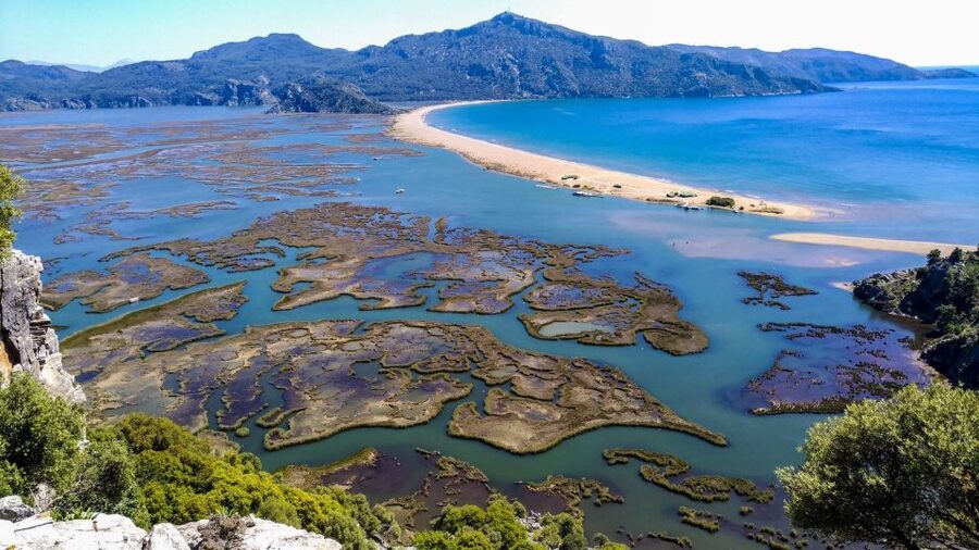 Marmaris: Dalyan Turtle Beach Tour with Mud Bath & Lunch - Should you book the Marmaris Dalyan tour?