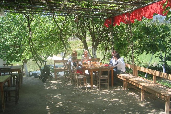 Private Bodrum Village Tour + 1 Glass Free Local Wine - Walking through homes, farms, and everyday village life