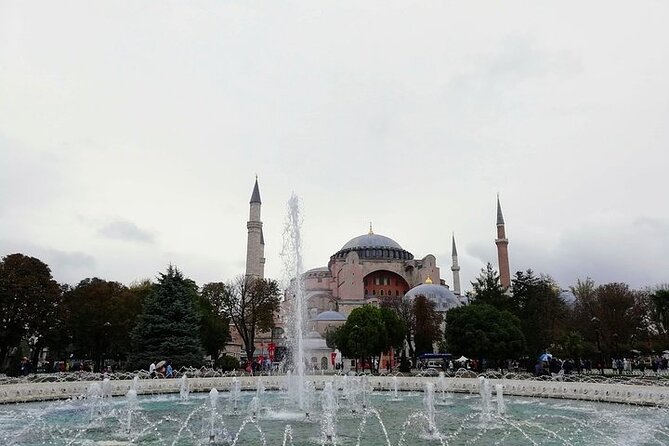 Private & Mini Group 7-8 Hours Guided Istanbul Tour / Cruise Port - What the guides do well, and where the experience can vary
