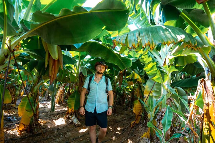 Sapadere Tour with Dimçay Lunch, Cave, Tropical Fruit Garden - Practical tips for making the day easier