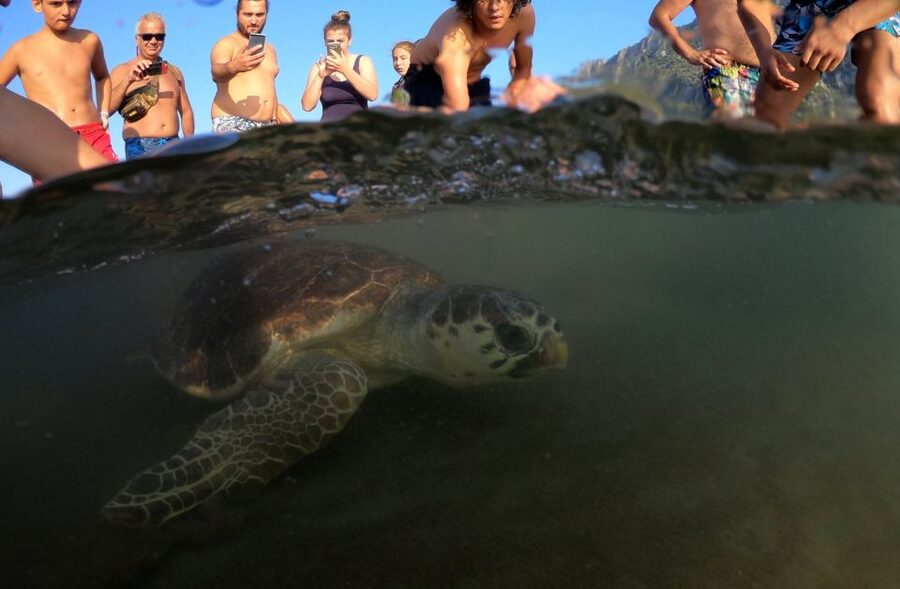 Sarigerme: Dalyan, Turtle Beach, Mud Bath, & King Tombs Tour - Crossing Köyceğiz Lake by boat
