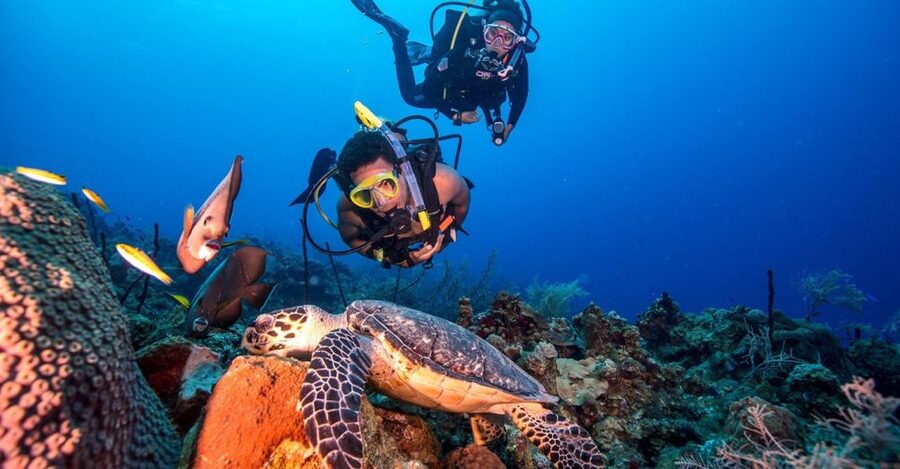 Scuba Diving Tour with Transfer From Alanya and city of Side - What the $59 price really covers