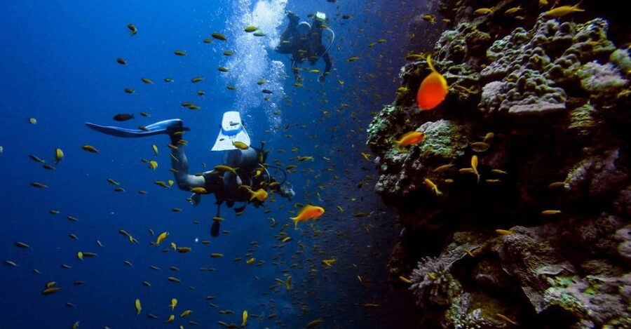 Scuba Diving Tour with Transfer From Alanya and city of Side - Who will get the most from this outing